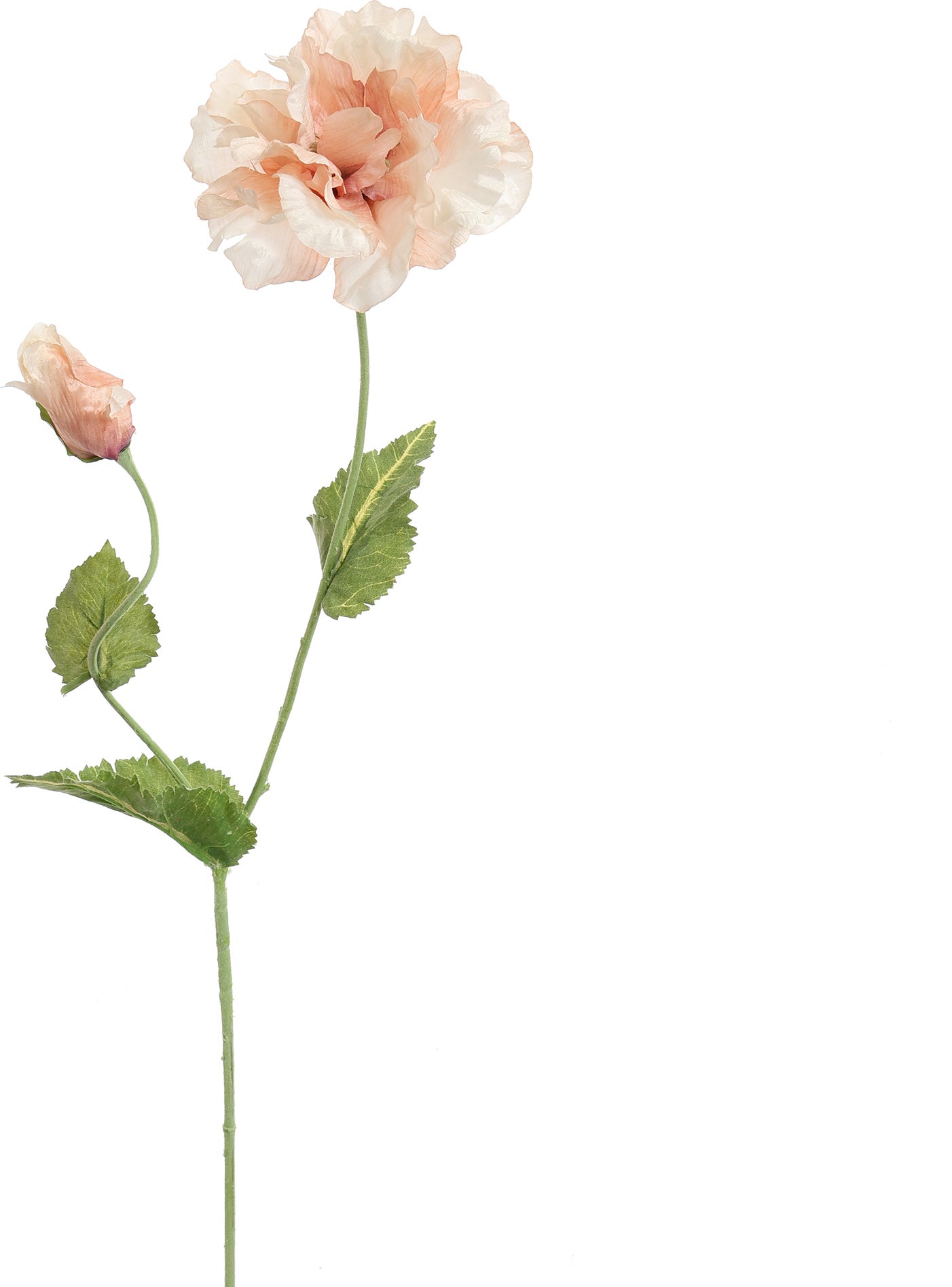 Jasaco PURE kunstbloem Klaproos bruin 75 cm