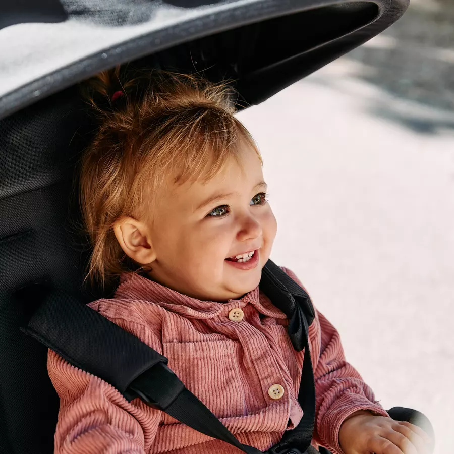 ABC DESIGN Buggy Ping Two Pine Kollektion 2024