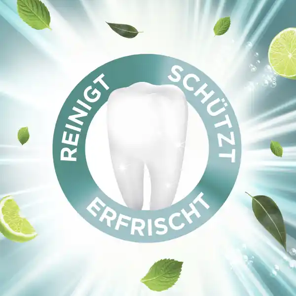 SENSES revitalising Eukalyptus, Limette & Minze Zahncreme