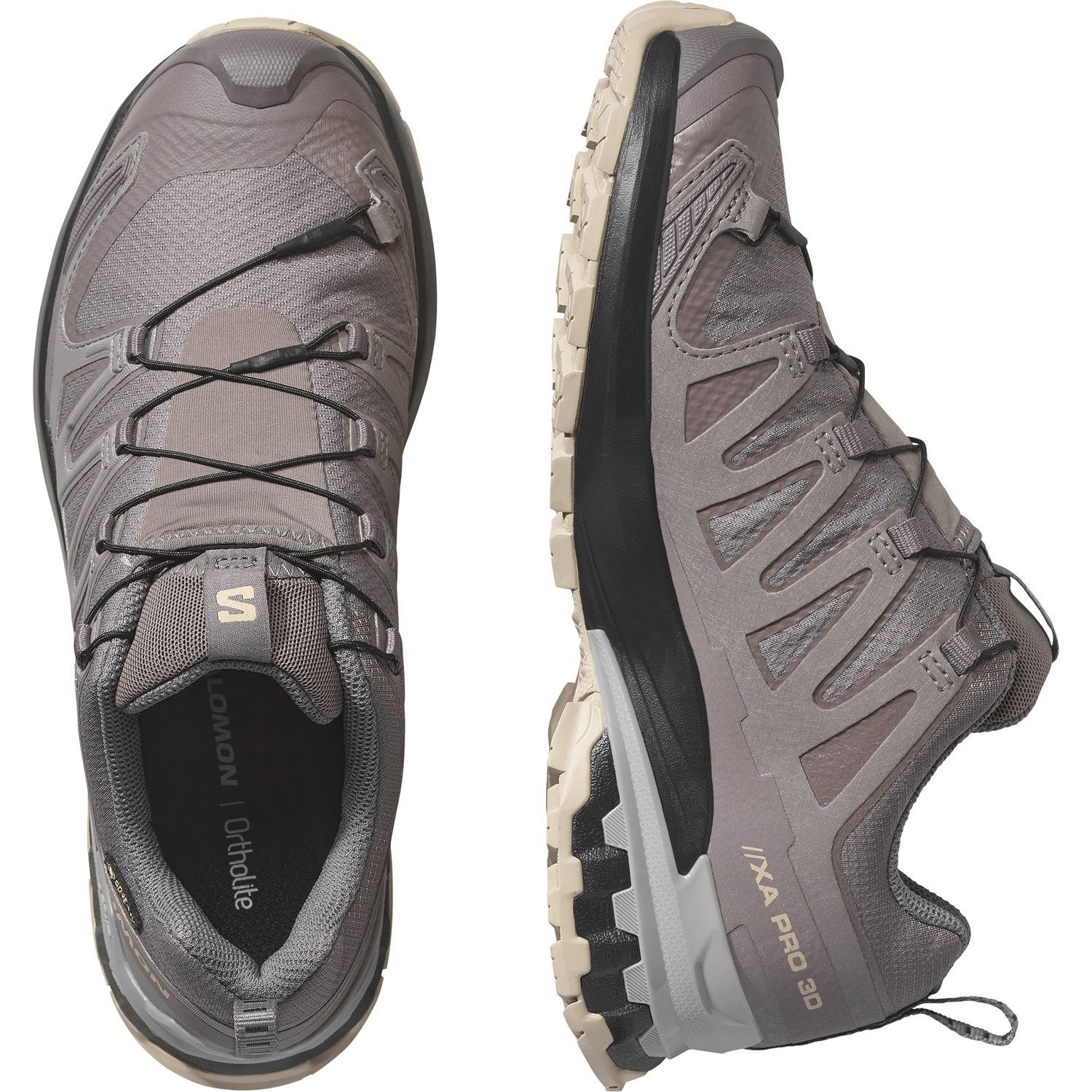 SalomonXA PRO 3D V9 GTX W