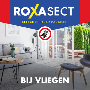 Roxasect Vliegenvanger 4ST