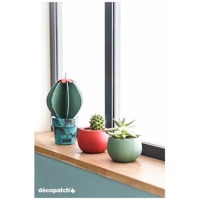 * Cactus boule - Kraft