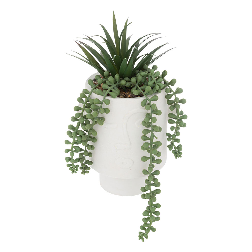 Plante artificielle pot ciment visage H 25cm