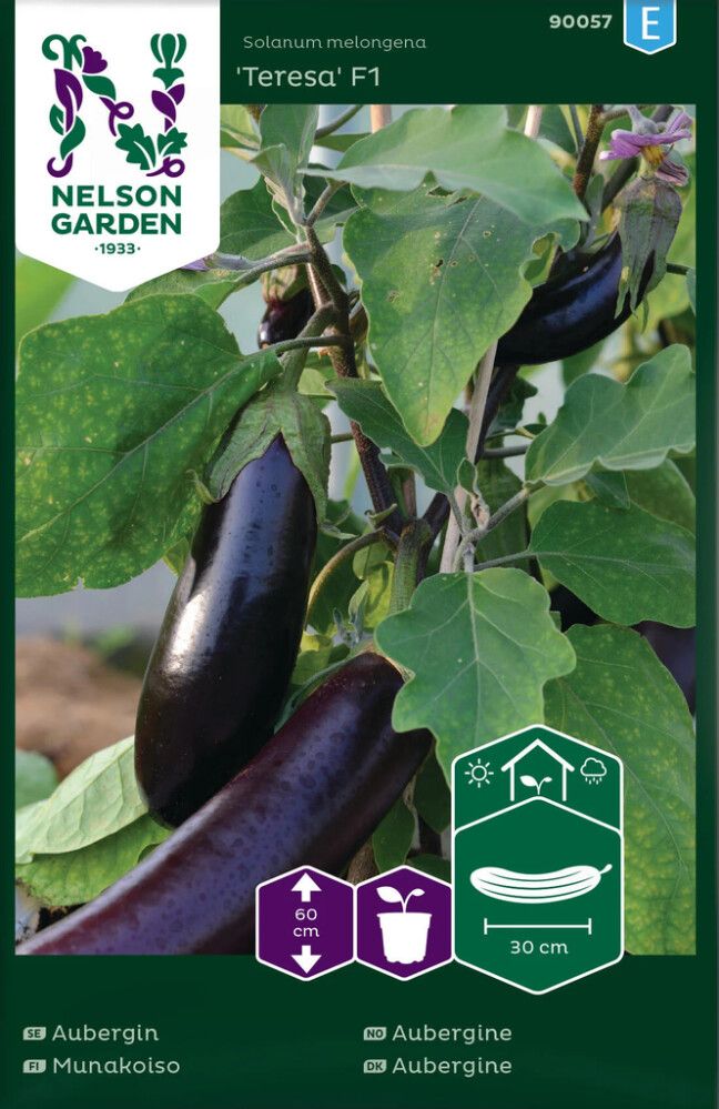 GRØNNSAKSFRØ NELSON GARDEN AUBERGINE TERESA F1