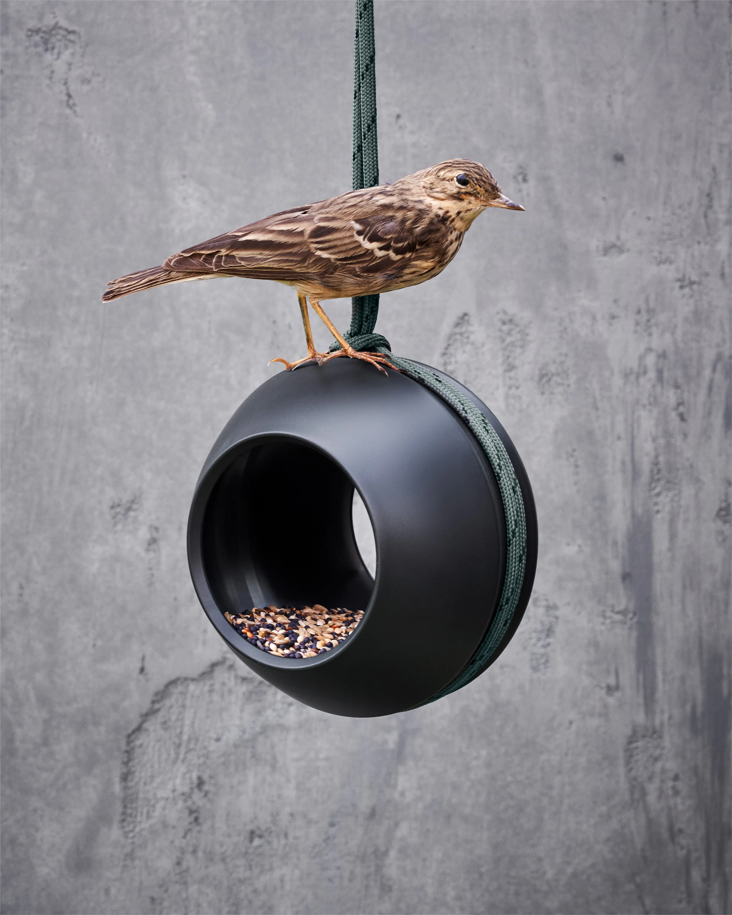 Rosendahl Birds Foderkugle