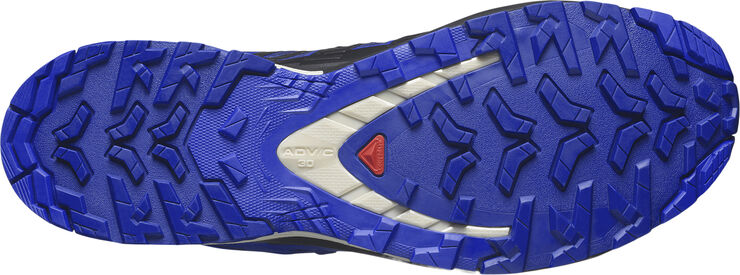 Salomon XA Pro 3D v9 Gore-TEX vandresko Blå
