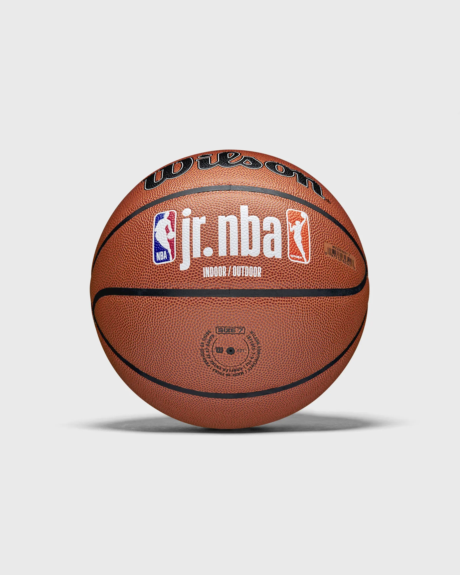 Cesta Wilson Jr. NBA Fam Logo para uso interno e externo, tamanho 7