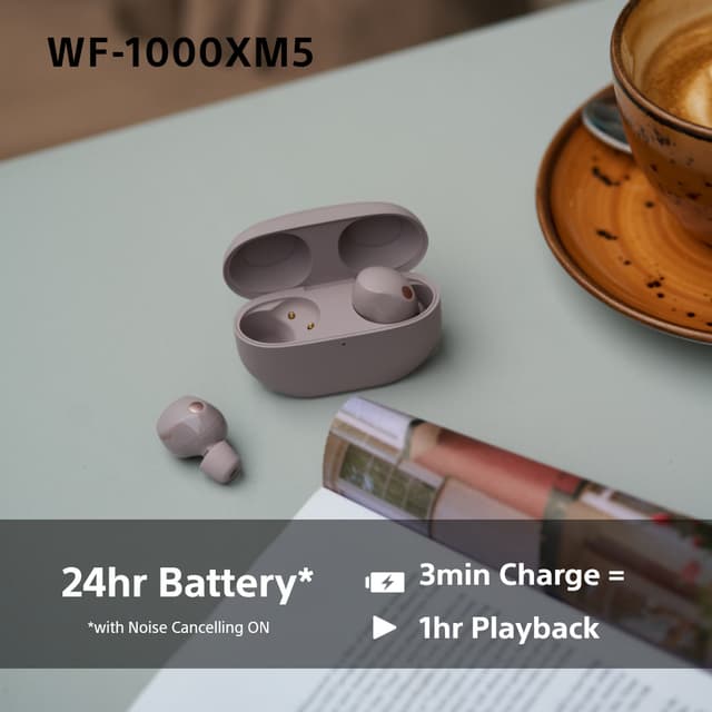 Sony WF1000XM5P true wireless in-ear-hovedtelefoner (røget pink)