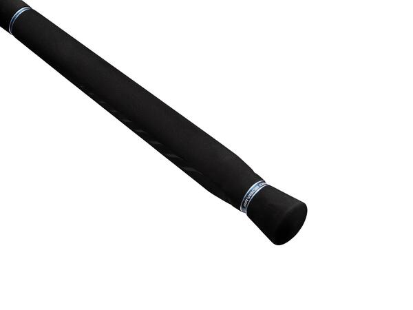 Canne Bateau Jigging Casting Savage Gear Defiance SG2