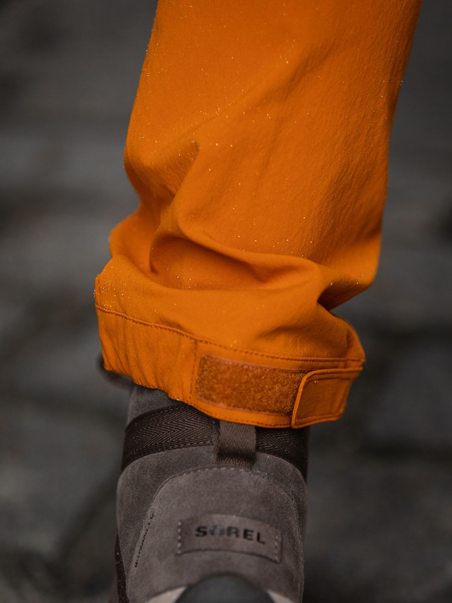 Signe Pant