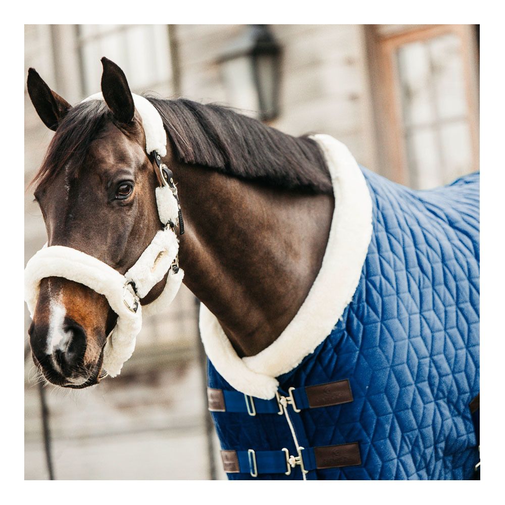 Kentucky VELVET 160G - Couverture de présentation navy