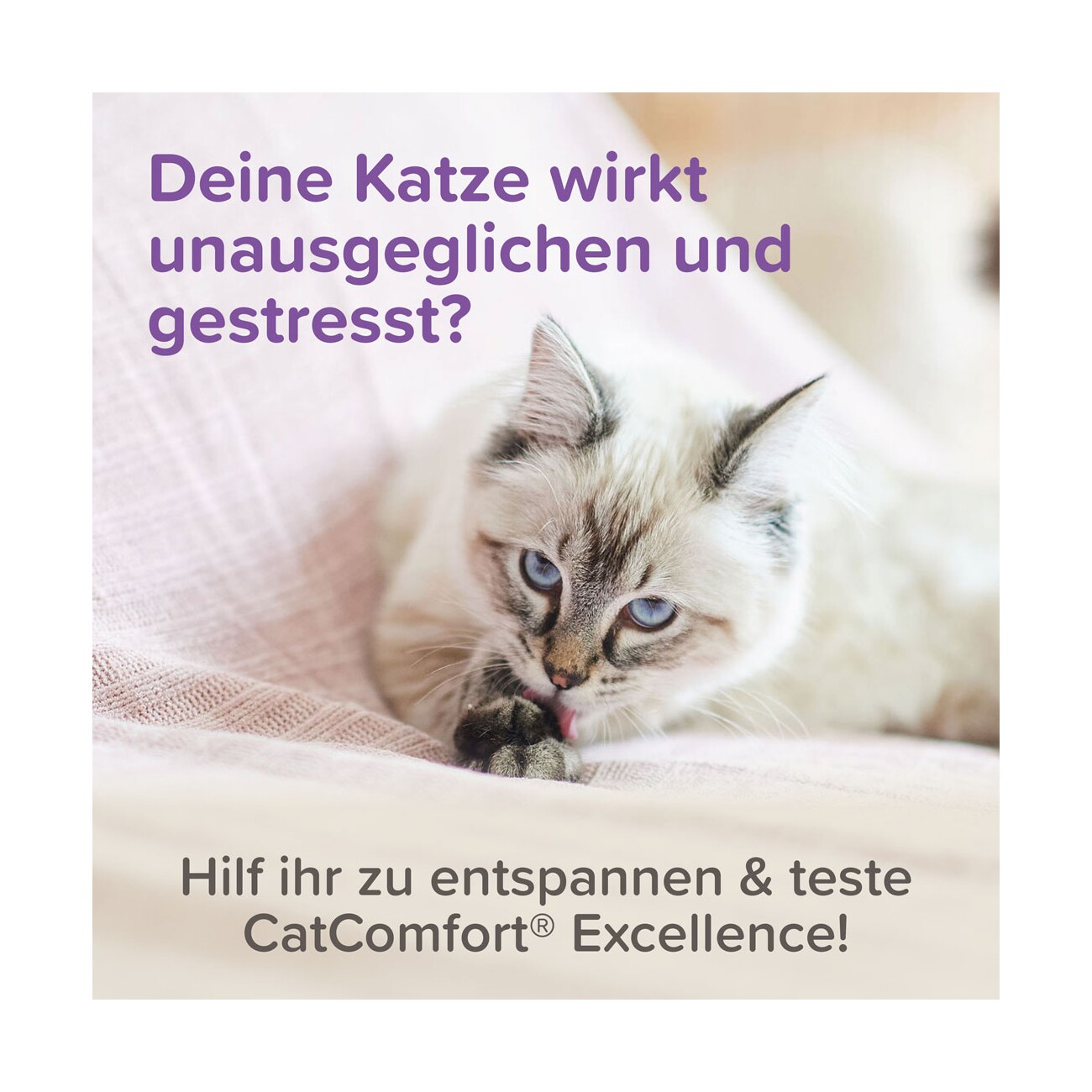 Beaphar CatComfort Excellence Nachfüll-Flakon für Verdampfer