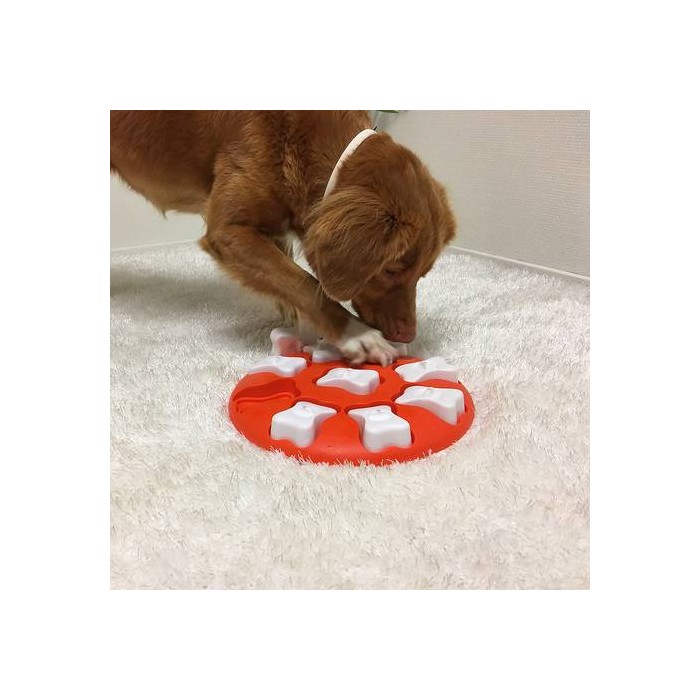 Dog Smart Orange