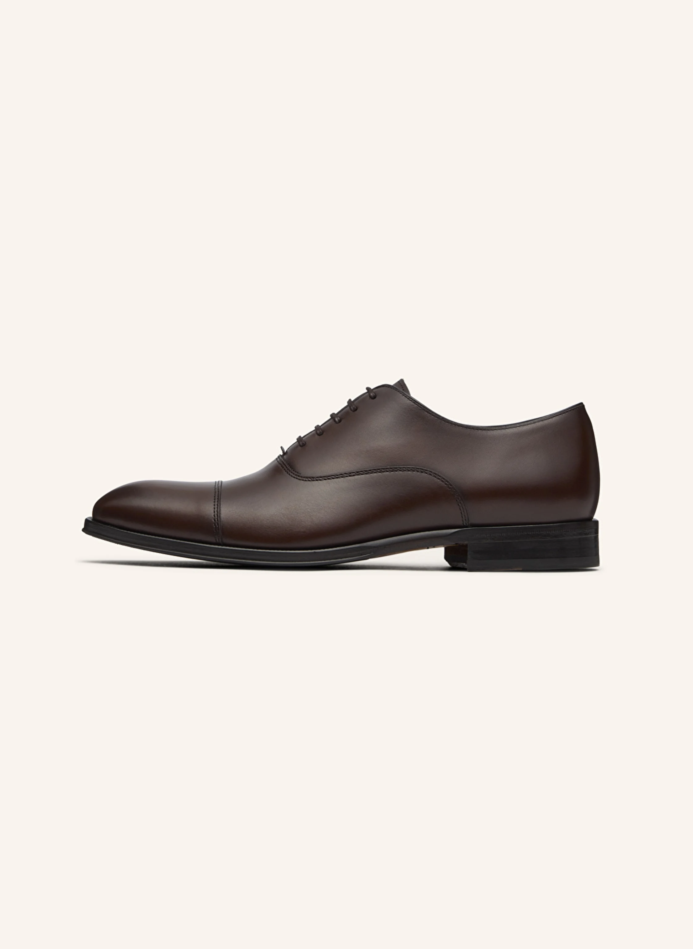 LOTTUSSE Oxfords LENOX