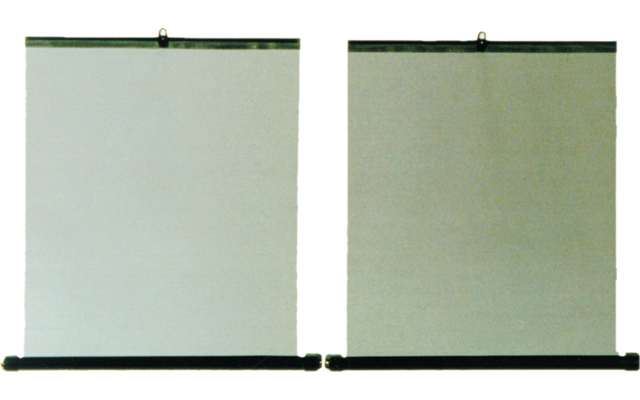 HP Autozubehör Seitenfenster Rollo universell 2 Stück 45 x 55 cm