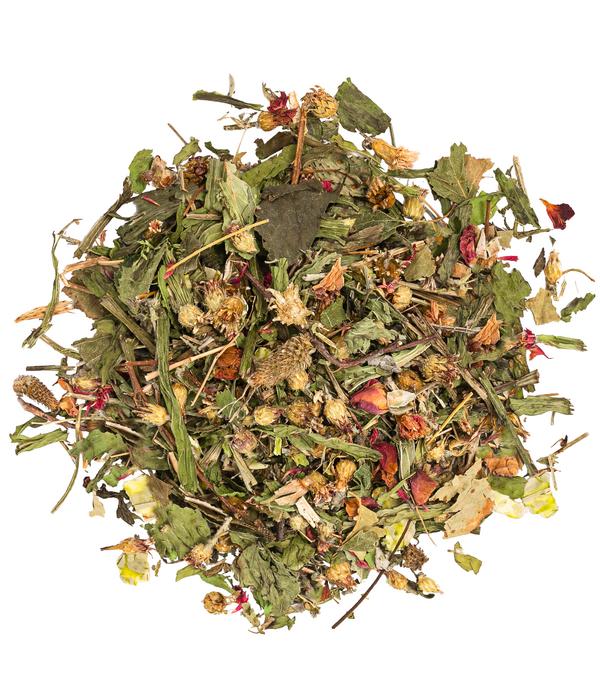 Dehner Lieblinge Kräuter-Oase, 6x150 g