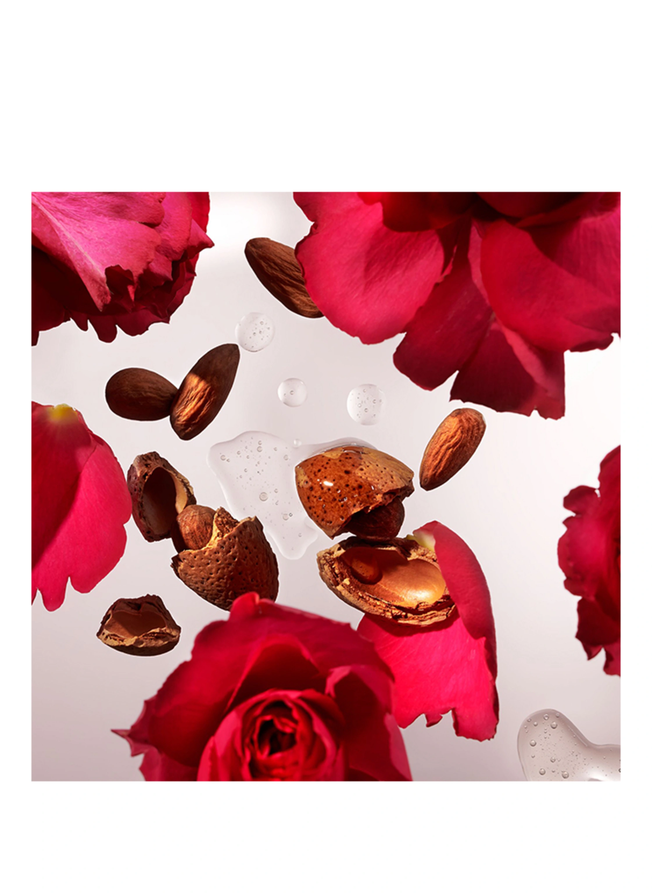 RITUALS THE RITUAL OF AYURVEDA