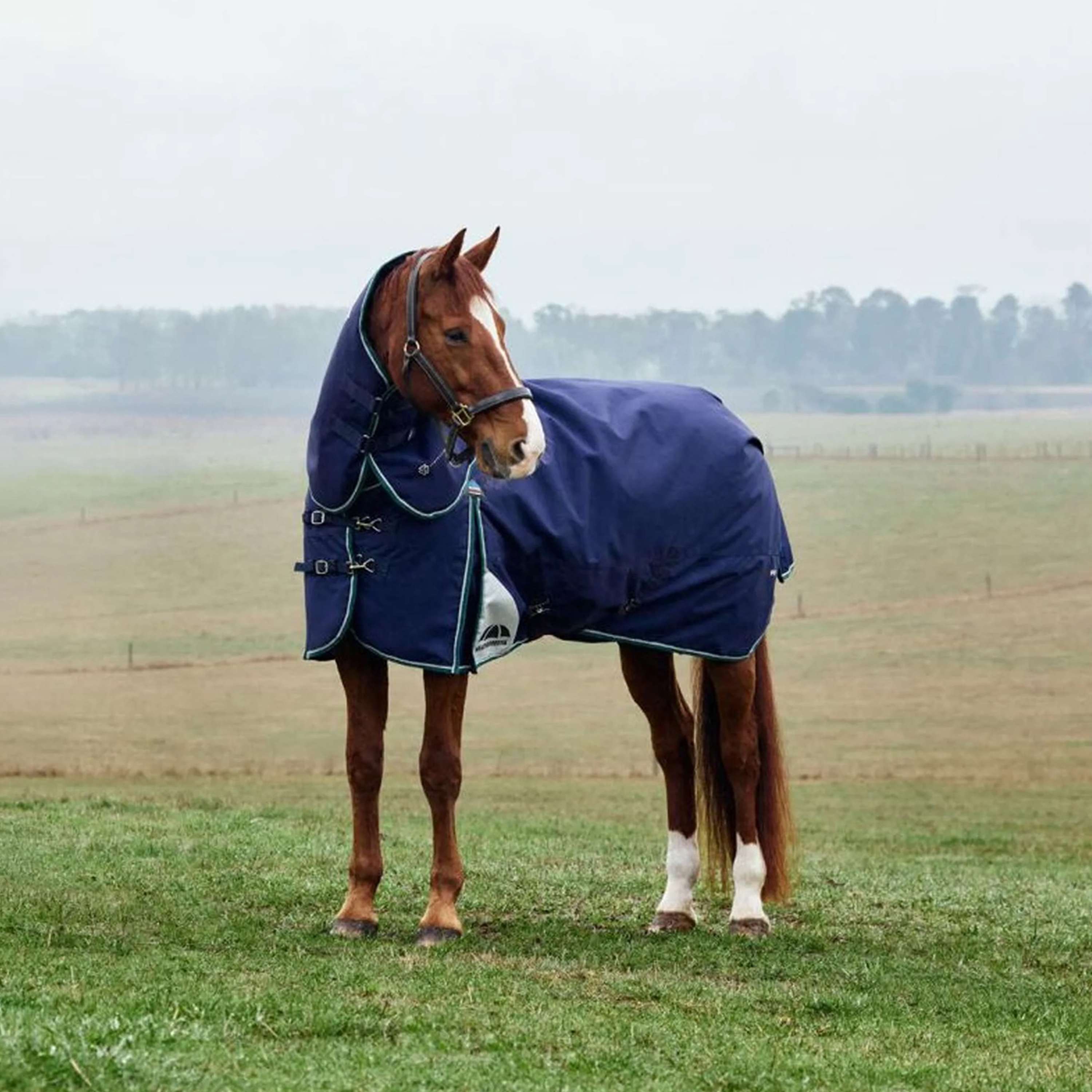 WeatherBeeta ComFiTec Plus Dynamic Turnout Detach-A-Neck 100g Navy/For
