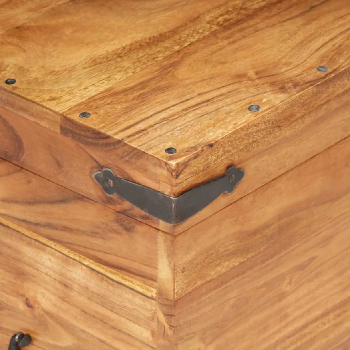 vidaXL Coffre Acacia Massif Naturel