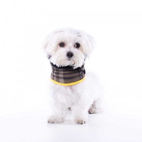Coleira Uoamy para cães, marrom, xadrez Scott