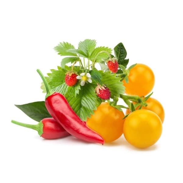 Click & Grow Smart Garden Refill 9-pakning frukt- og grønnsaksblanding