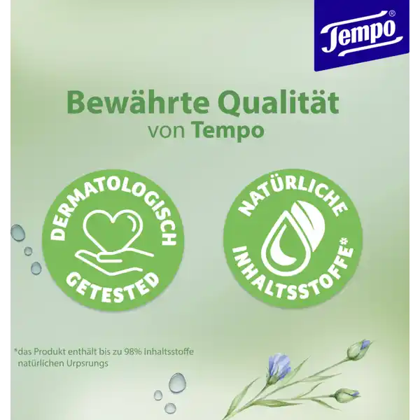 Feuchte Toilettentücher Maxipack