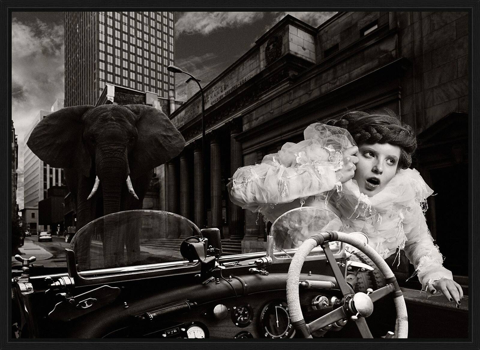 Elephant Run by Filippo Fortis - Limited Edition. Edition of: 150. Signed.