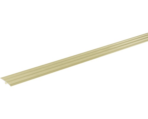 SKANDOR afstelprofiel champagne geanodiseerd incl. deuvel 2,5x34x900 mm