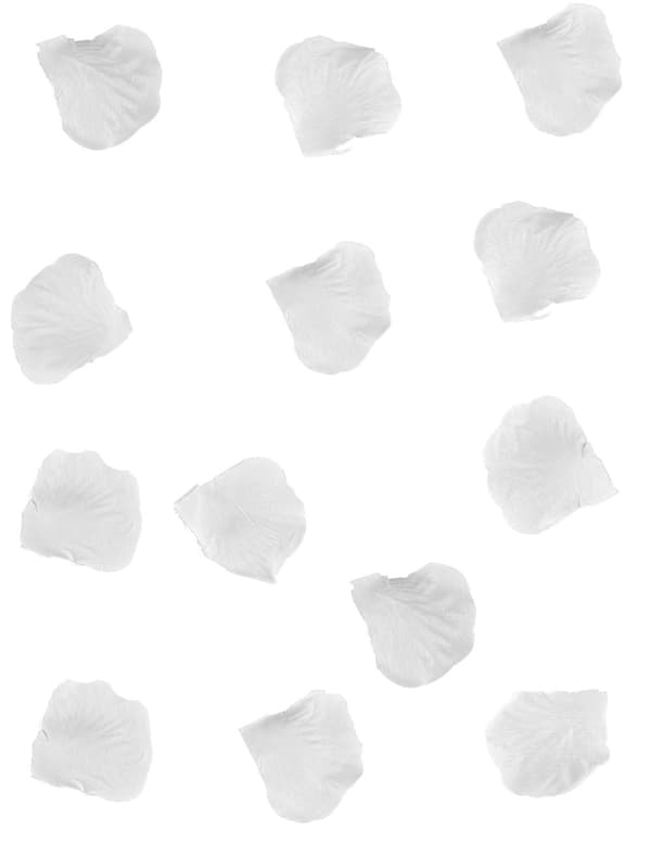 288 hvite blomsterblader. Size-Standard