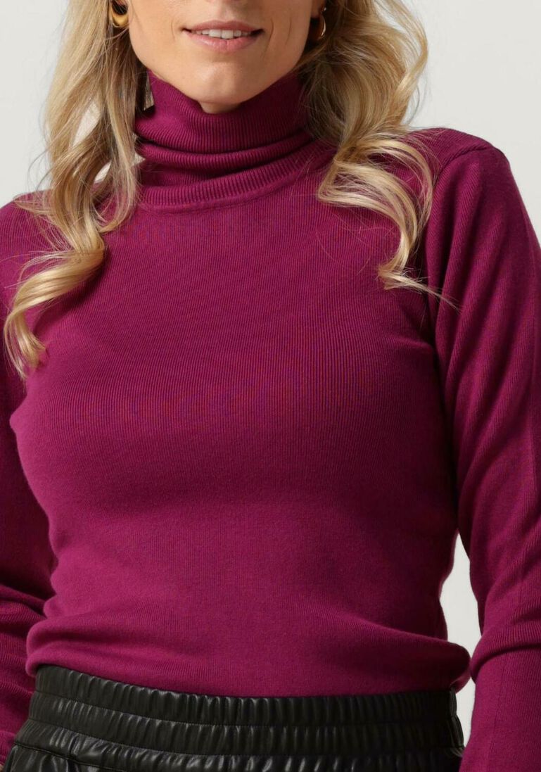 SILVIAN HEACH paarse silvian heach coltrui lupetto m/l- sweater