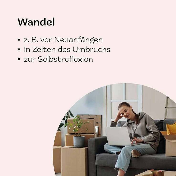Hautbalsam 2 Wandel, 15 g