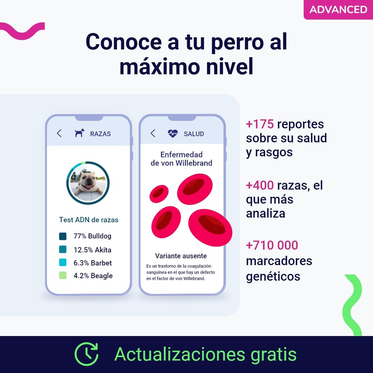 Teste de DNA avançado para cães
