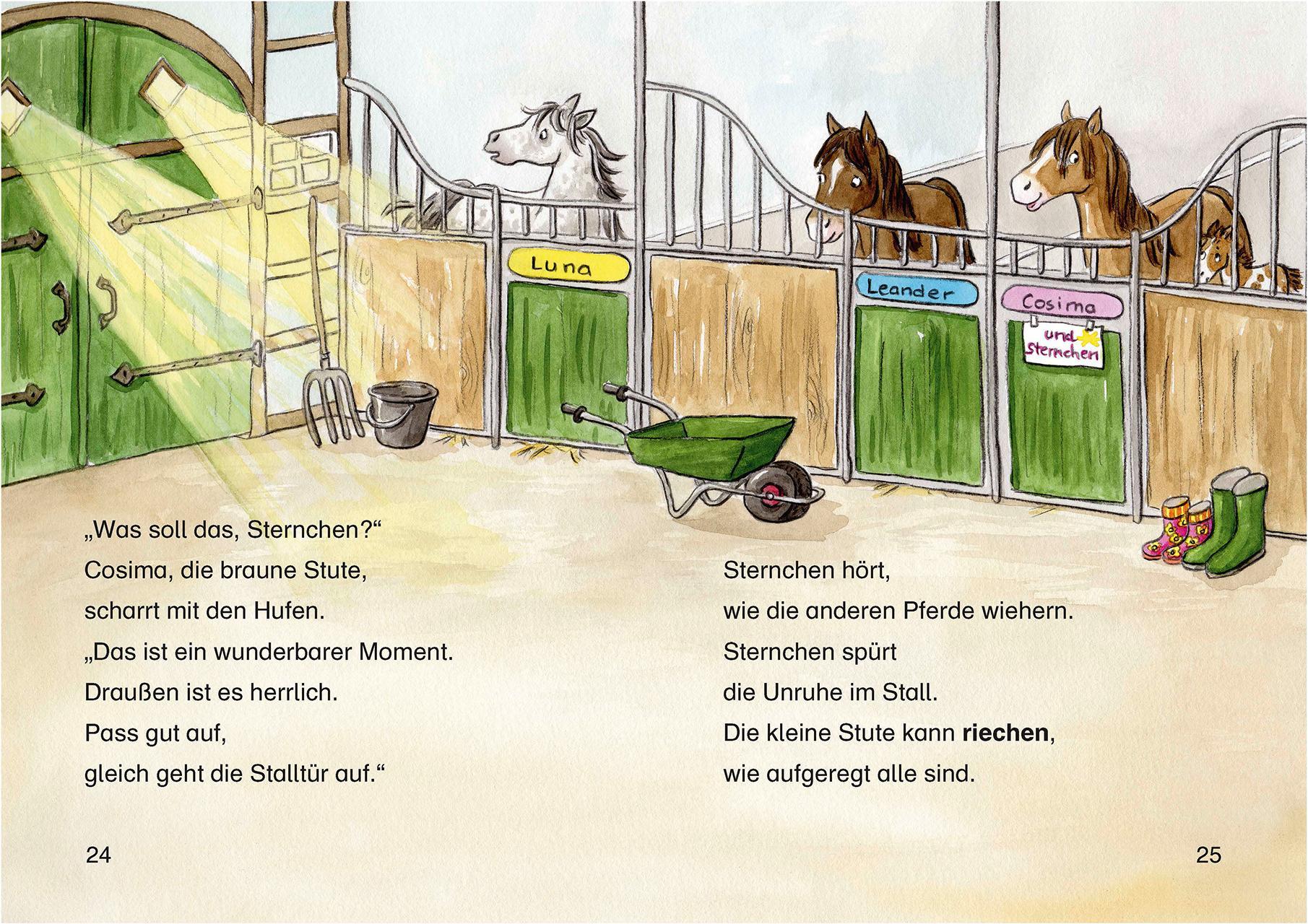 Leselöwen 2. Klasse - Fohlengeschichten