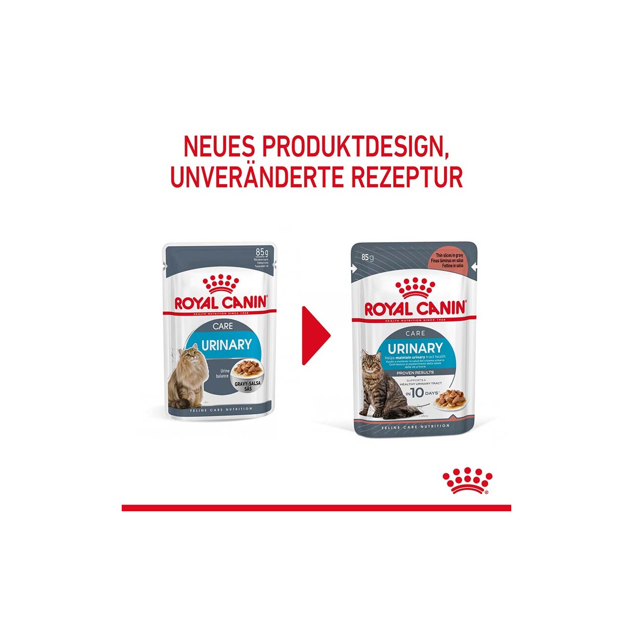 ROYAL CANIN Care Urinary in Soße 12x85 g