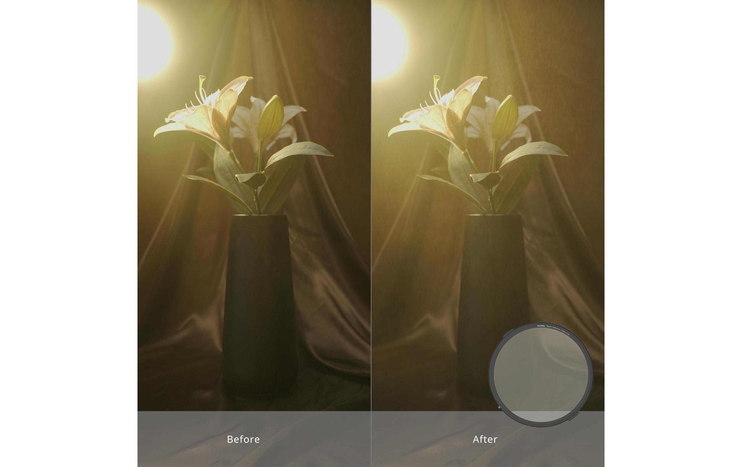 Diffusionsfilter-Kit<br>Vier Diffusionsfilter