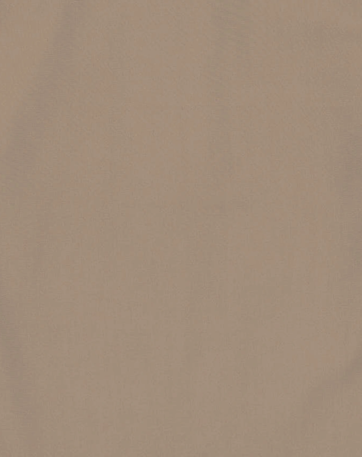 Langarm-Badeshirt LION in choco