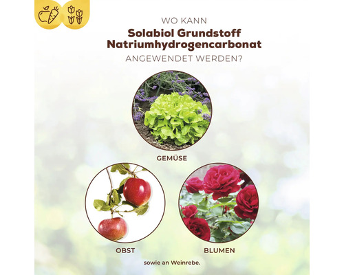 Basis ingrediënt natriumbicarbonaat Solabiol plantenversterker 350 g tot 100 L spuitoplossing
