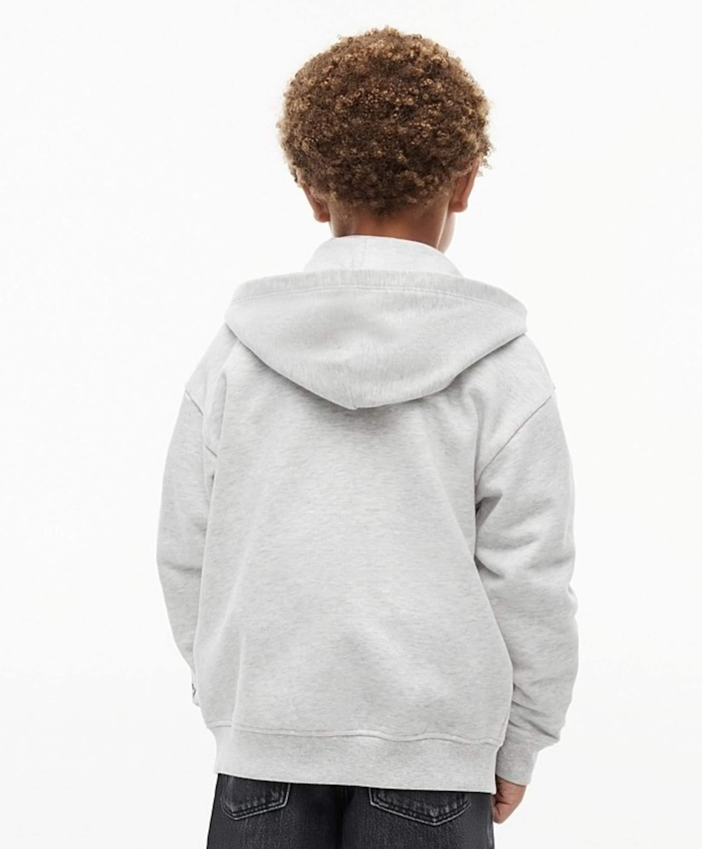 Tommy Hilfiger Jongens hoodie grijs