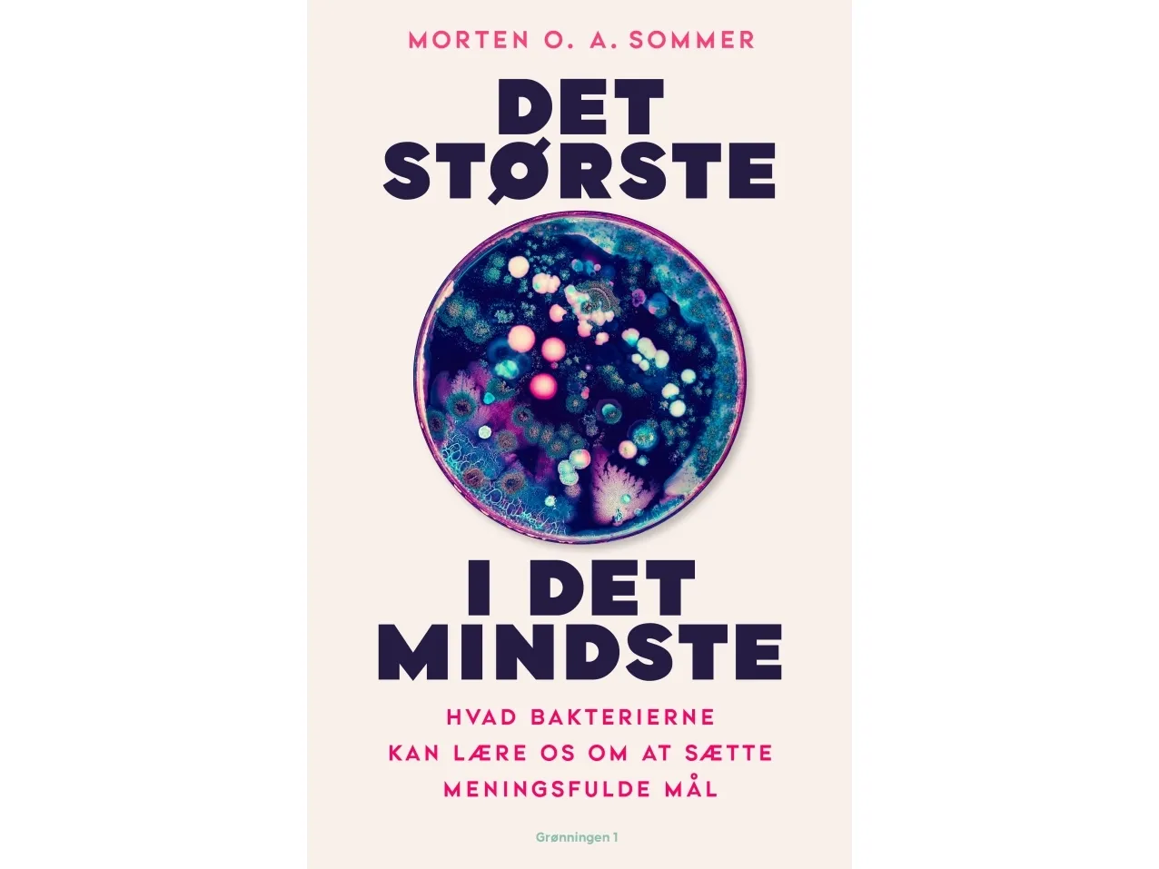 Det største i det mindste | Morten O. A. Sommer