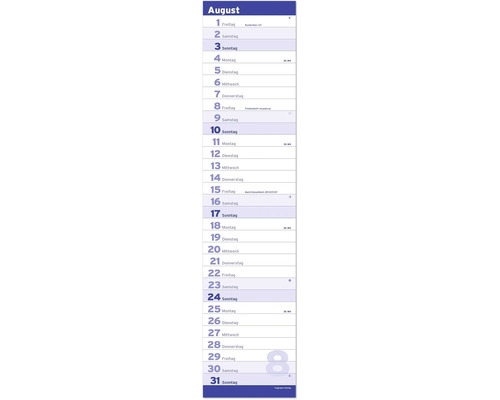 Stripplanner, notitieboek, kalender XL, blauw, 2025, 15x64 cm