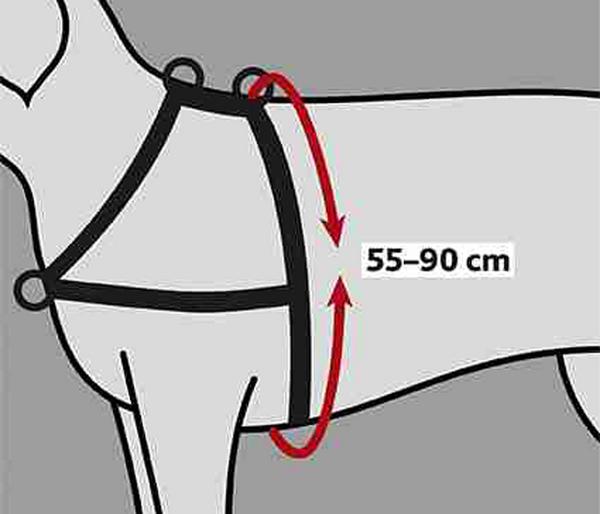 Trixie Hundegeschirr Lead'n'Walk Soft, schwarz