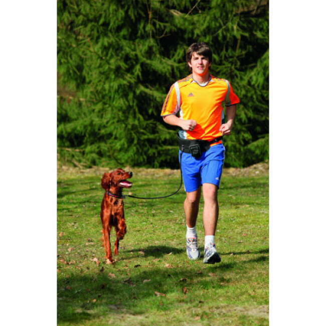 Laisse de jogging canicross pour chien