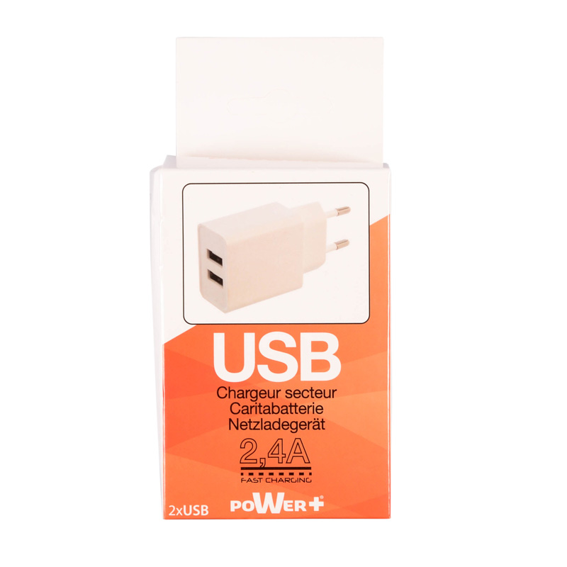 Chargeur secteur 2 USB