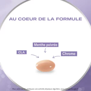 Ventre Plat Oenobiol - 60 Capsules