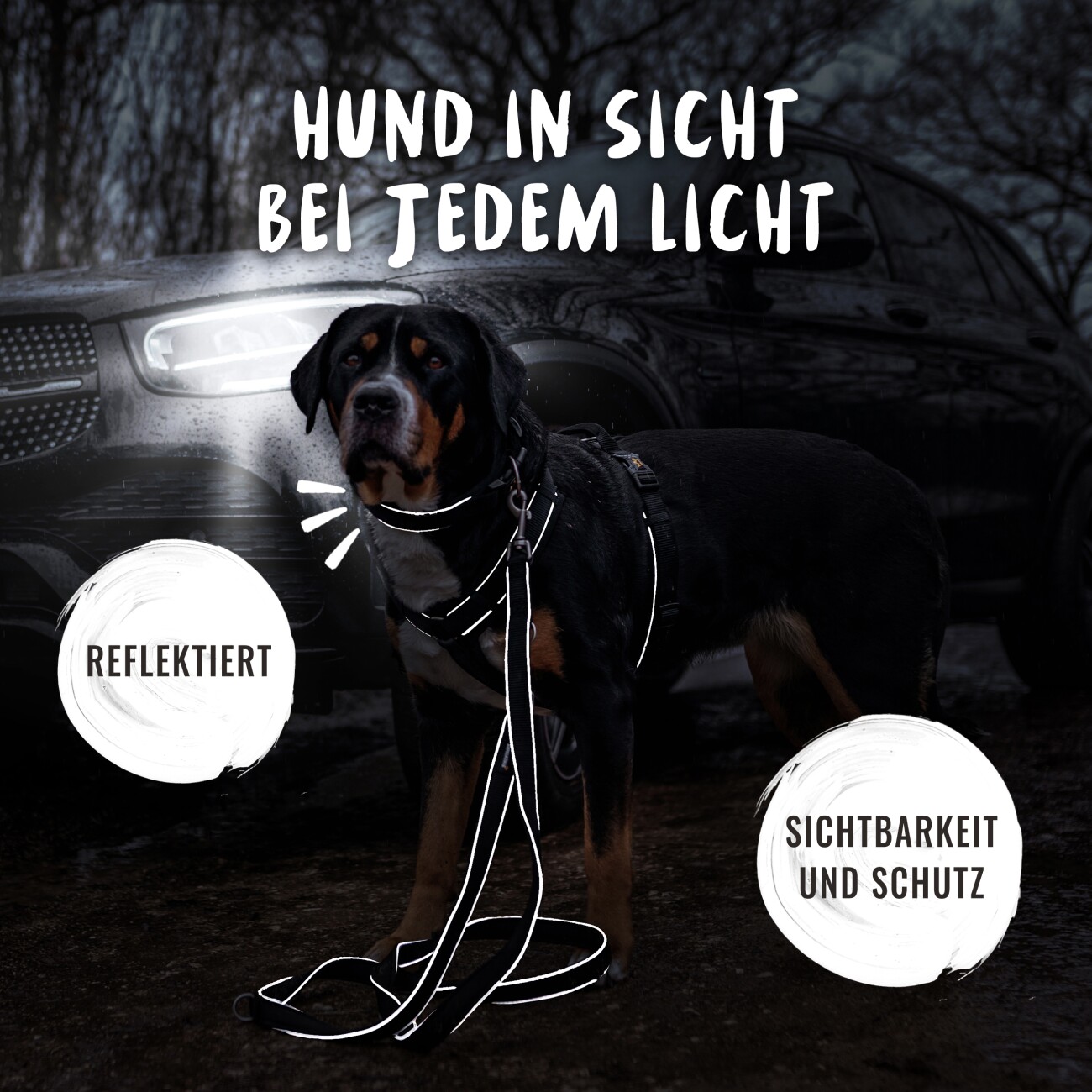 Rudelkönig Hundehalsband - Gepolstertes Halsband Paola schwarz 25 cm, 30 cm