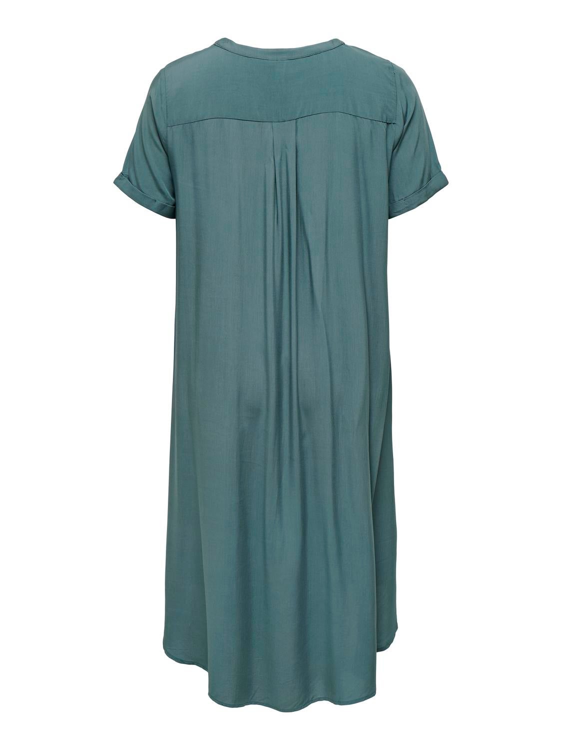 CARNEWDENIZIA Langes Kleid Balsam Green