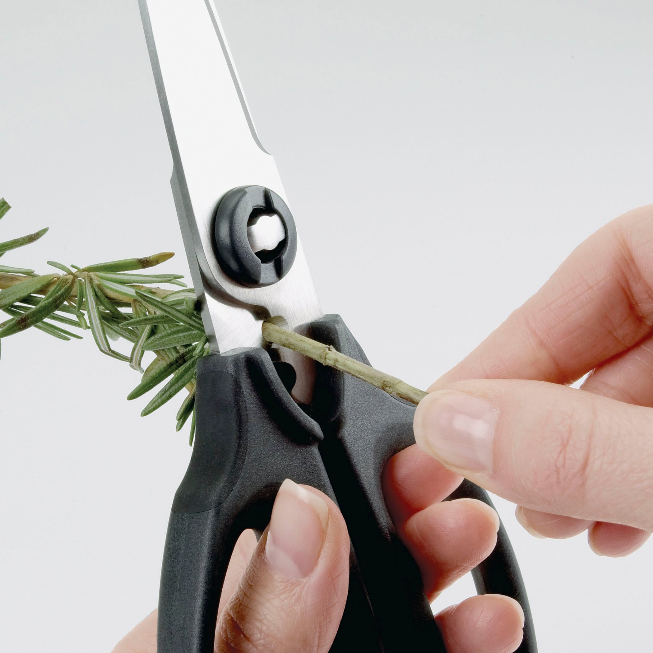 OXO Good Grips Kräuterschere Klingen aus gehärtetem Edelstahl