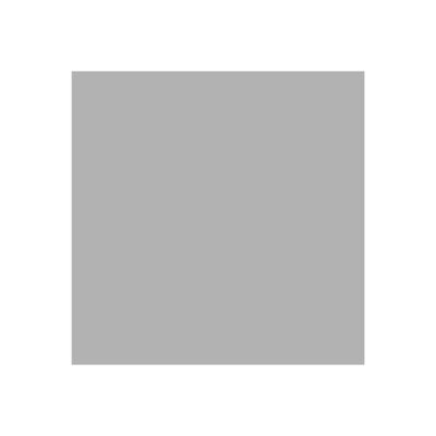 Canson Graduate Mix Media - Bloc dessin - 30 feuilles - A3 - 220 gr - gris