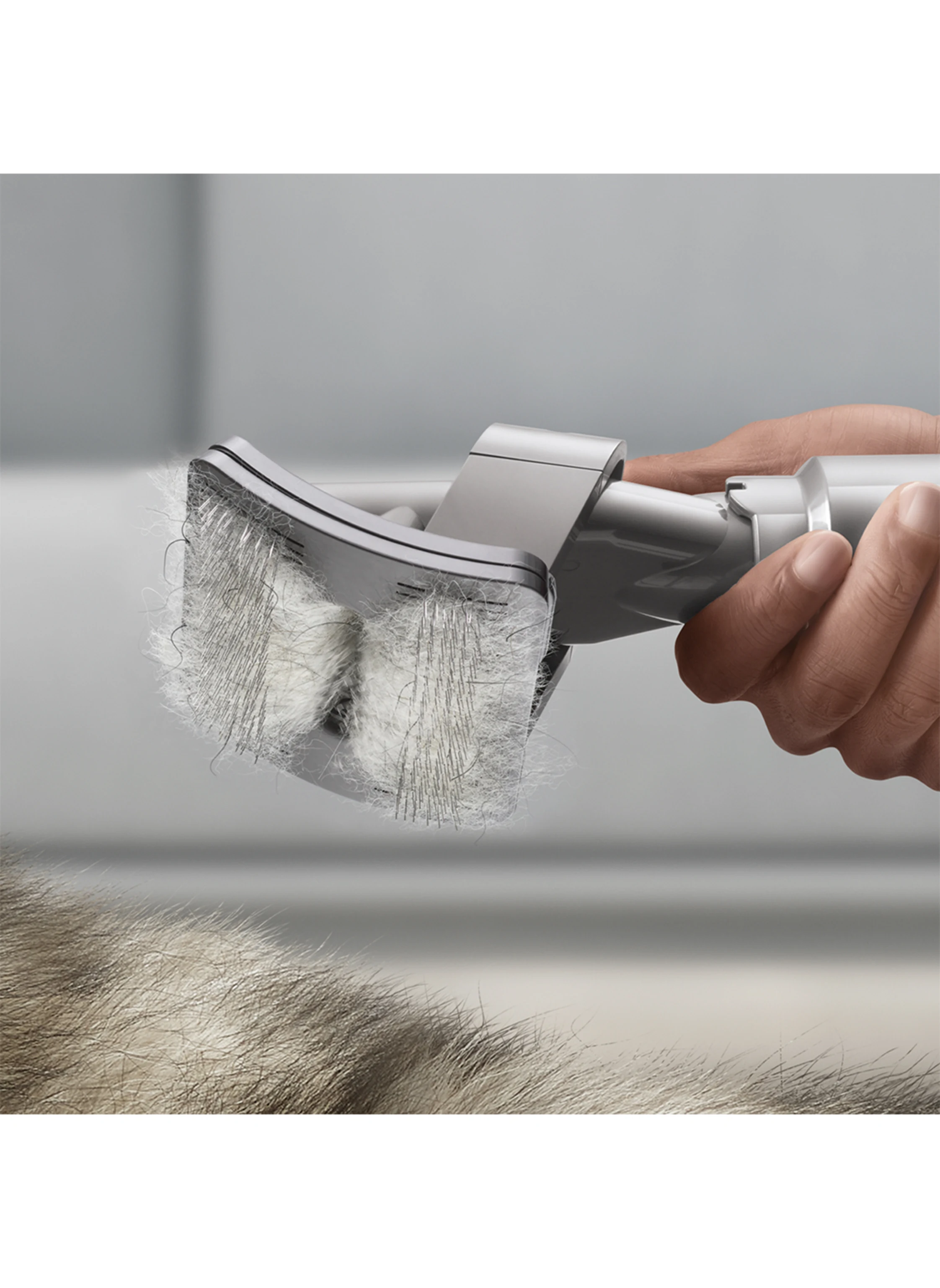 dyson HAUSTIERPFLEGESET