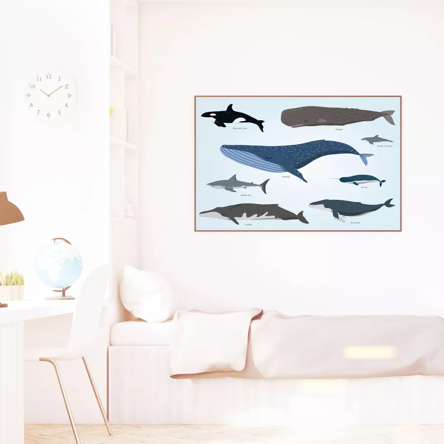 Nikima Poster Kinder Lernposter - Tiere der Meere - in 3 Größen bunt